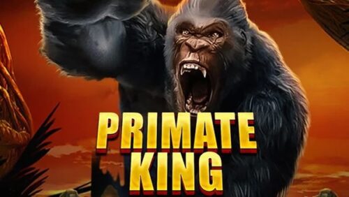 Visuel du jeu Primate King