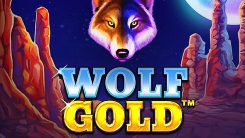Visuel du jeu Wolf Gold
